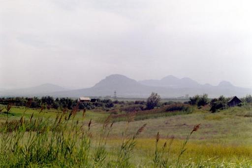 NkavZ
