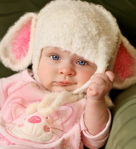 Polly-bear