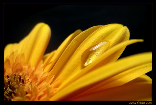 Drop