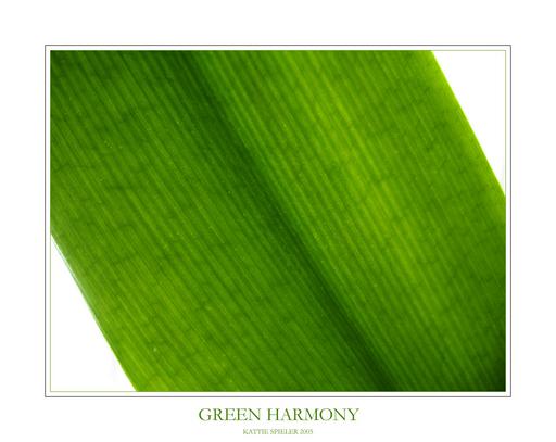 Green Harmony