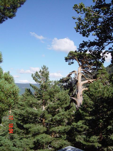 Laguna Negra