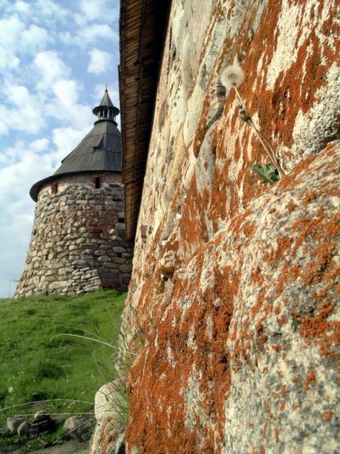 Solovki