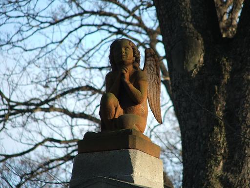 Angel