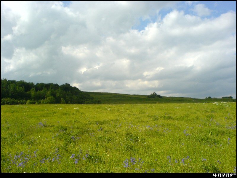 green&blue