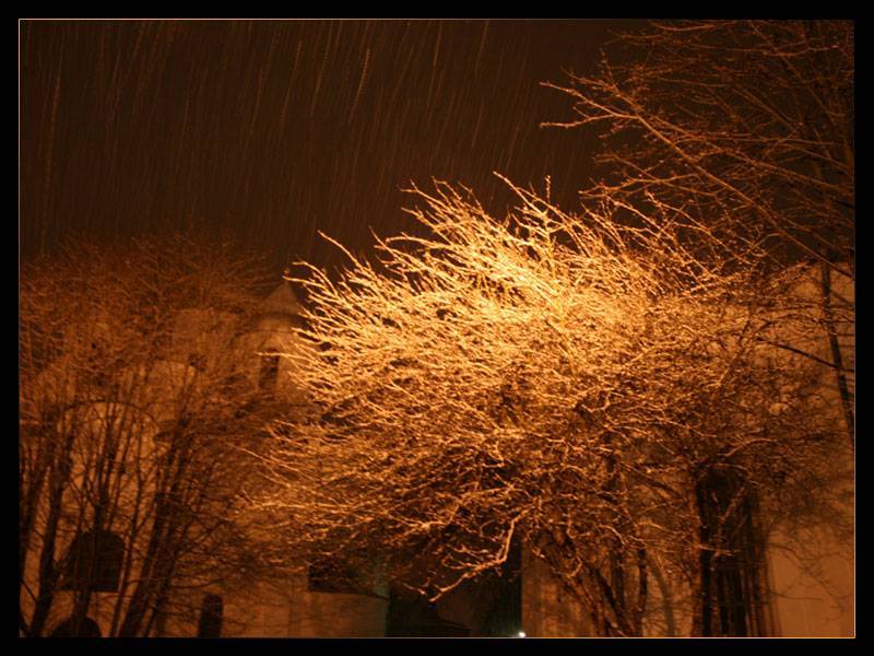 Orange Weather