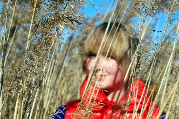 sun,blue sky and a little grace.