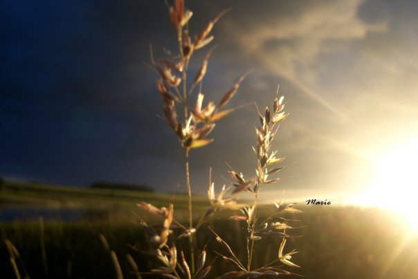 summer