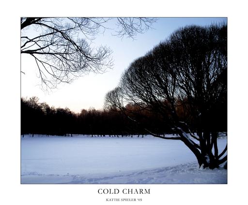 Cold Charm