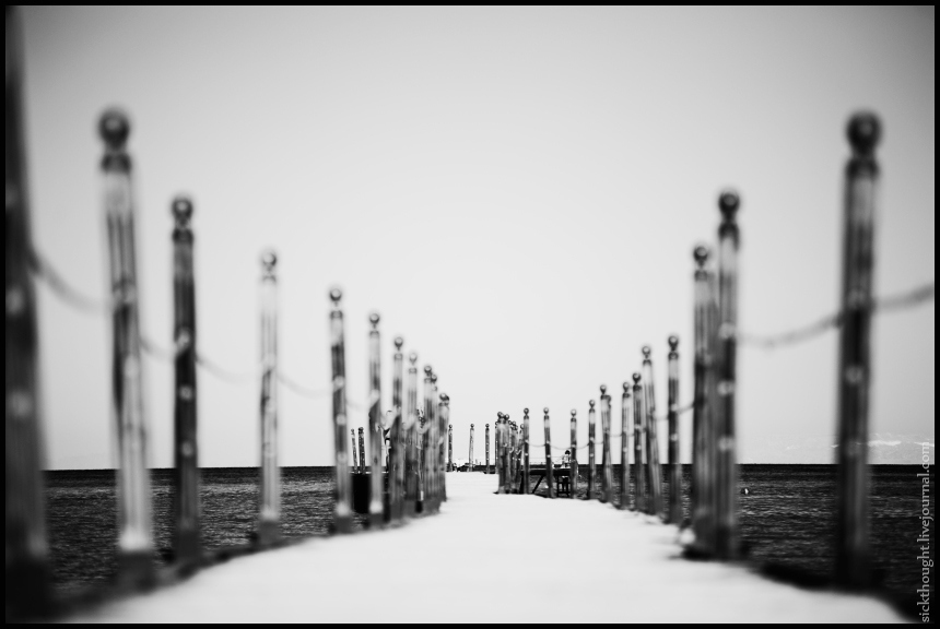 into the picture