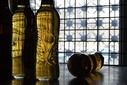 Brahma