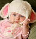 Polly-bear