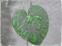 acid leaf