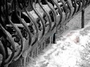 icicle