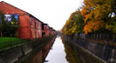 fall